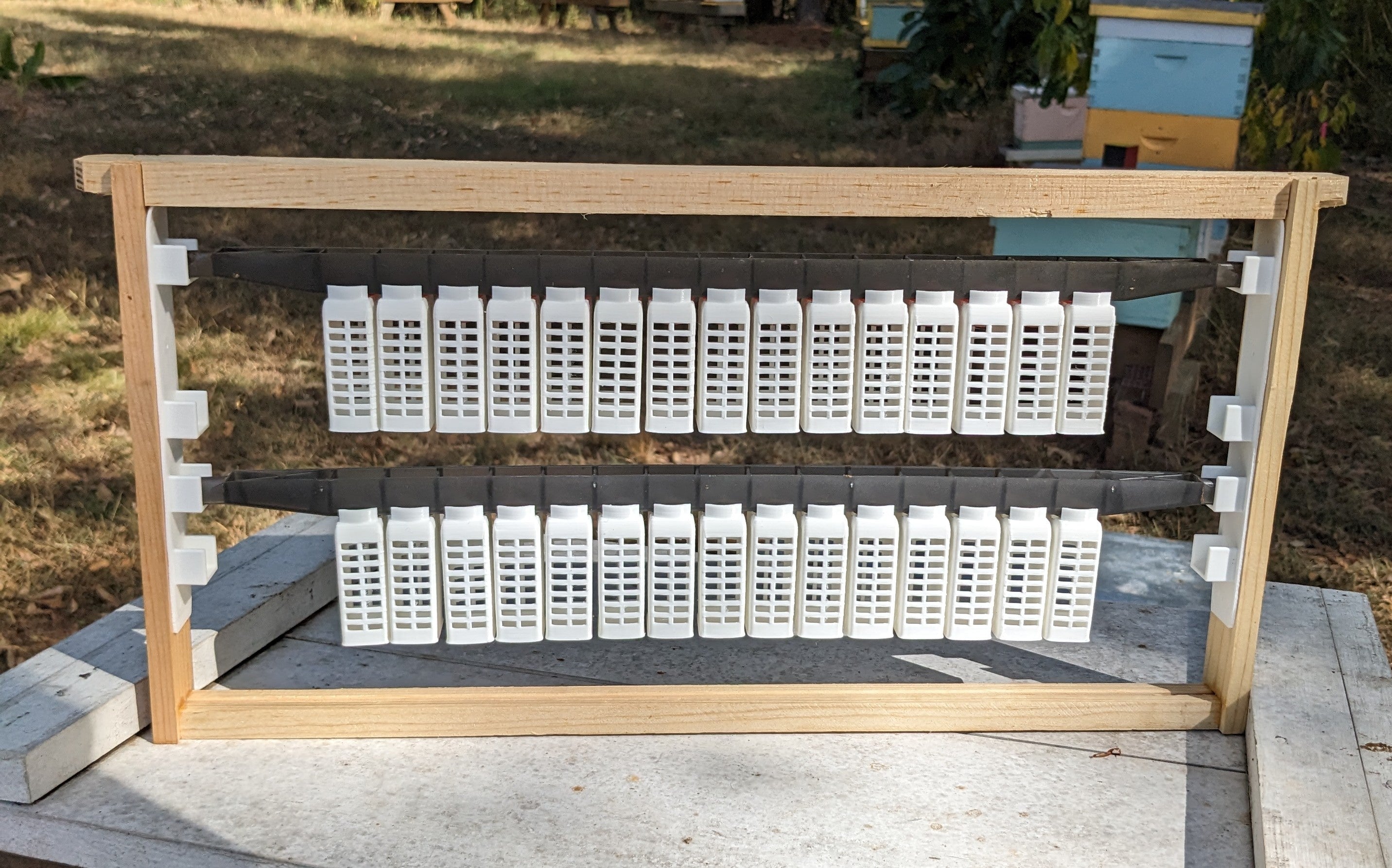 EZPZ Queen Rearing Kit and More – EZPZ Beekeeping Equipment